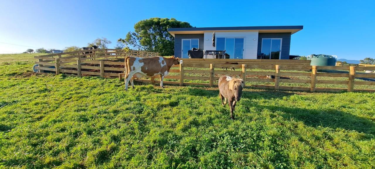 Country Comfort - Only 10 Minutes From Hamilton Cbd Exteriör bild