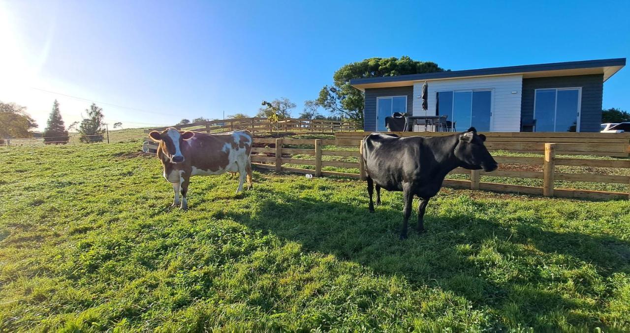 Country Comfort - Only 10 Minutes From Hamilton Cbd Exteriör bild
