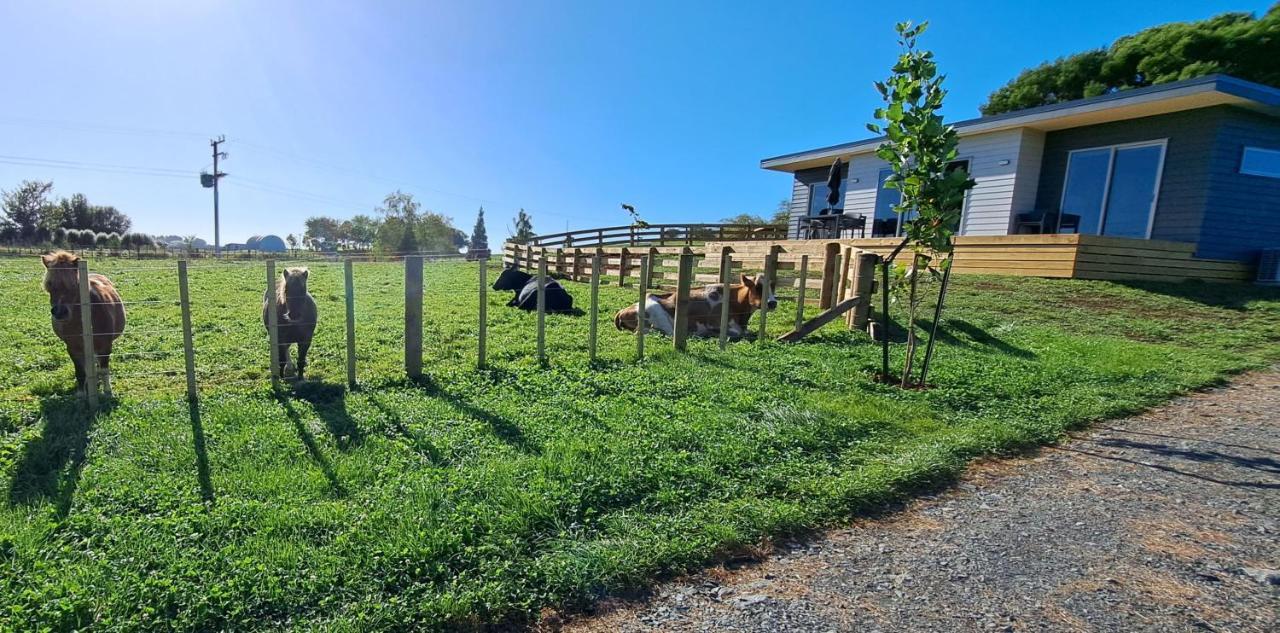 Country Comfort - Only 10 Minutes From Hamilton Cbd Exteriör bild