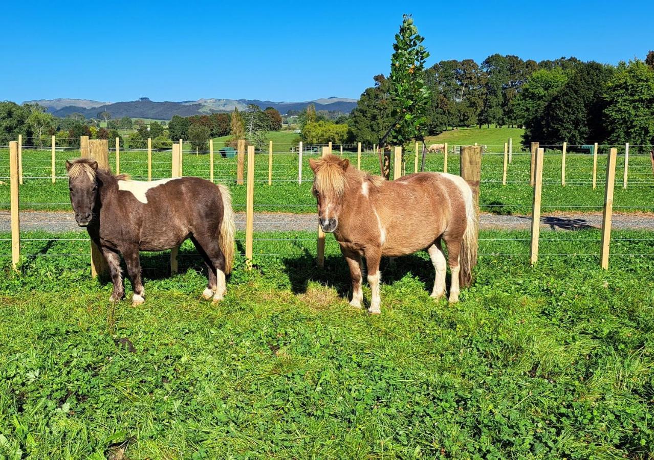 Country Comfort - Only 10 Minutes From Hamilton Cbd Exteriör bild