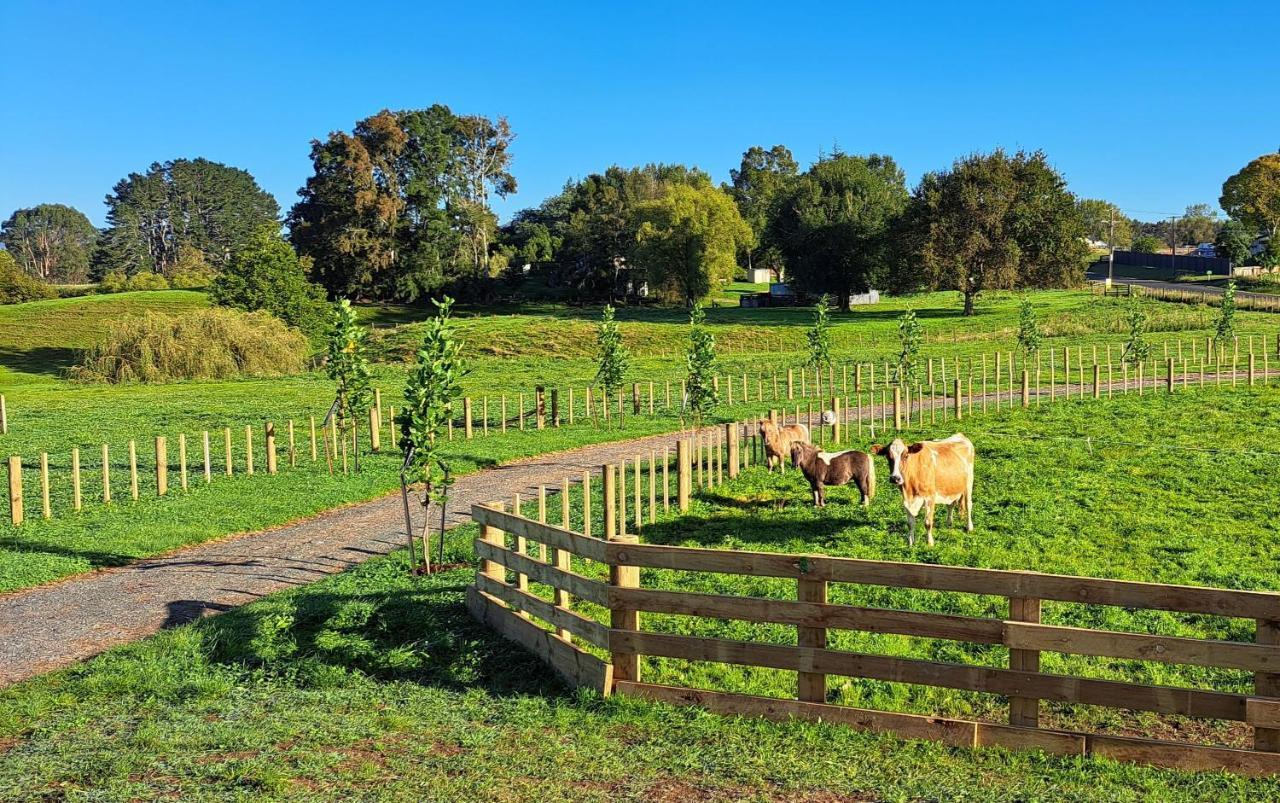 Country Comfort - Only 10 Minutes From Hamilton Cbd Exteriör bild