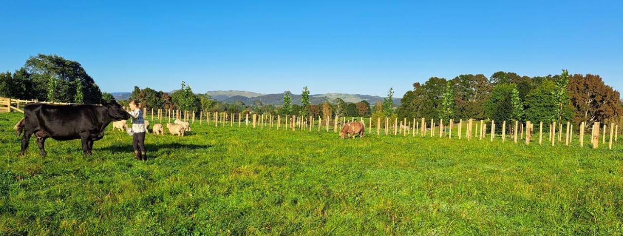 Country Comfort - Only 10 Minutes From Hamilton Cbd Exteriör bild